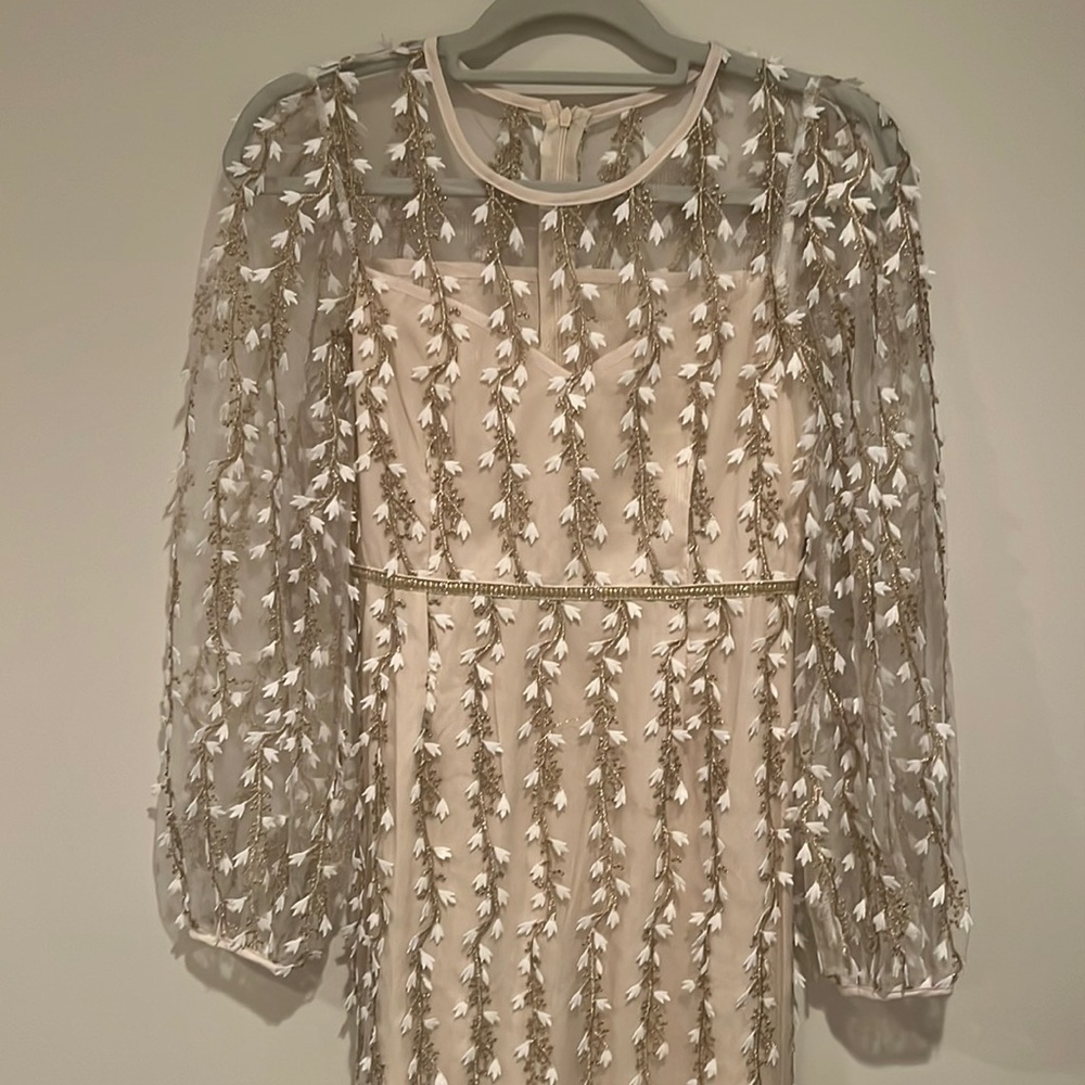 Stunning cream underlay dress with see through golden vine puff sleeves